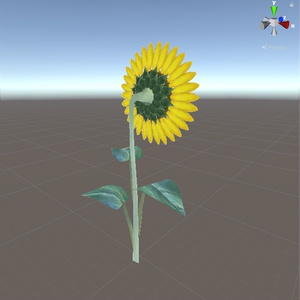 【VRChat向けモデル】ひまわり