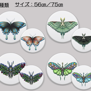 【缶ミラー】昆虫