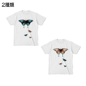【カラーTシャツ】蝶