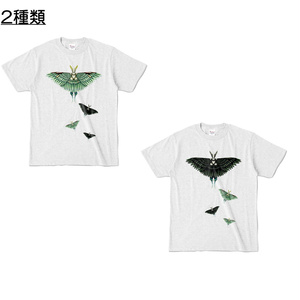 【カラーTシャツ】蛾
