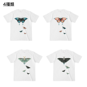 【白Tシャツ】昆虫①