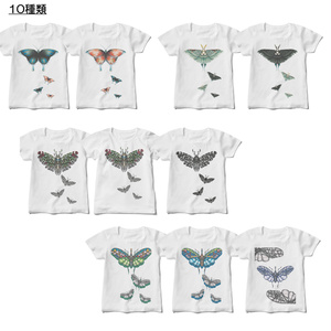 【白Tシャツ／レディース】昆虫