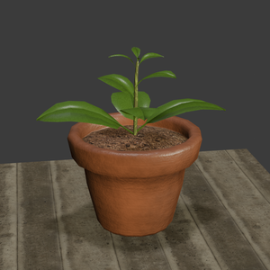 鉢植えの植物