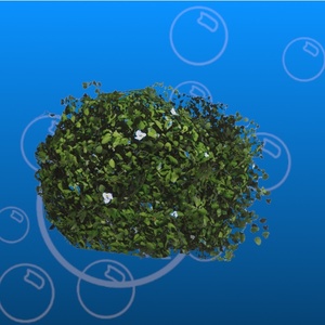 Free Bush Prefab