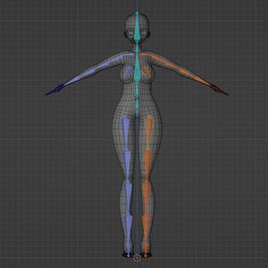 Anime Female Adult 3d Base Mesh - Blender/FBX