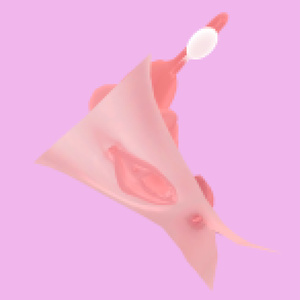 萌(Moe)用おまんこ　Pussy for Moe 缩略图 5