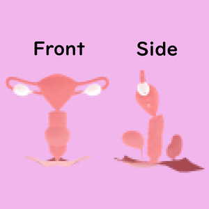 萌(Moe)用おまんこ　Pussy for Moe 缩略图 3