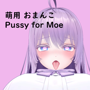 萌(Moe)用おまんこ　Pussy for Moe