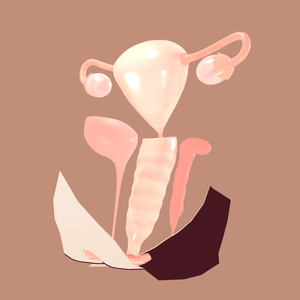 3Dモデル「女の子の性器」 VRoid適用可能  Blender/FBX対応