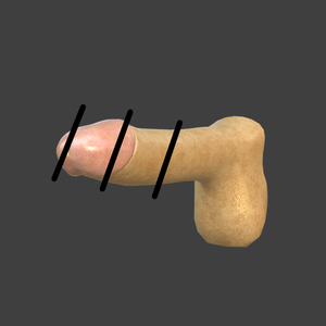 3Dモデル「ペニス」ちんこ Penis Blender/FBX対応