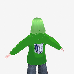 Attack on titan Survey corps Hoodie