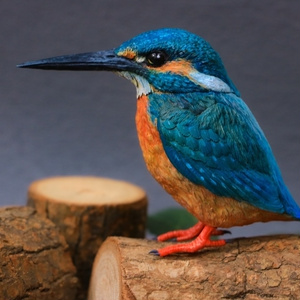 Insomnia3D 叫ぶマーモット ScreamingMarmot 1st Color - insomnia3D