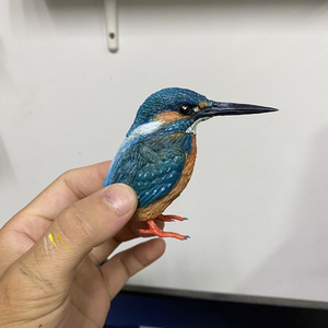 Insomnia3D 叫ぶマーモット ScreamingMarmot 1st Color - insomnia3D