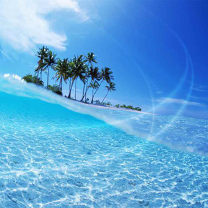いつの日か過ごした夏