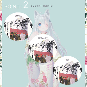 ライムちゃん対応『KEITAMARUYAMA 3D着物2023』 缩略图 5