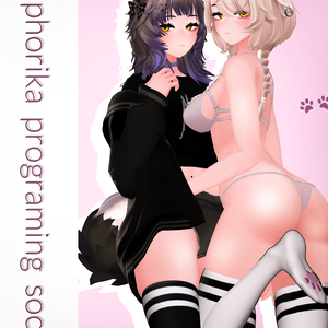 Euphorika - Programing socks