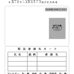 セブンネップリ用　免許証／マイナンバー目隠しカード＆緊急連絡先カード　テンプレート
