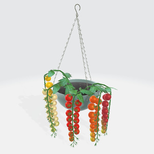 Hanging basket of colorful mini-tomatoes [3D data] [VCC compatible version
