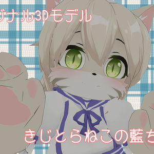 VRアバター向け3Dモデル【藍ちゃん】ver1.11