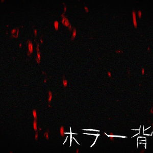 【mp4】ホラー背景01