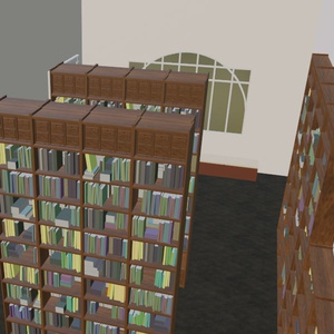 study/ office/ library filled with bookshelves