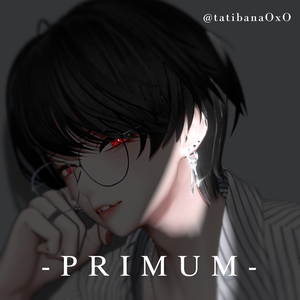 【MA対応】PRIMUM【水瀬専用イヤリング】
