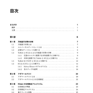 Effective量子コンピュータ