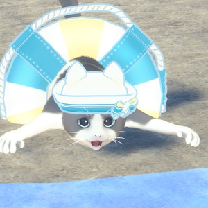 《複数アバター対応》ぷかぷか夏日和 缩略图 12