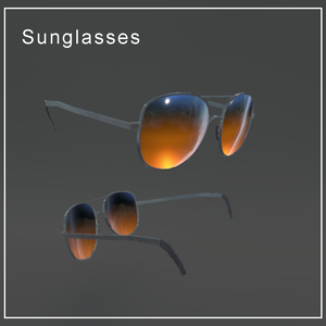 Sunglasses