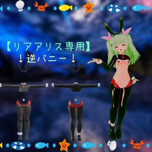 【リアアリス専用】逆バニー