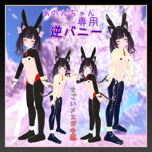 【あのんちゃん専用】逆バニー
