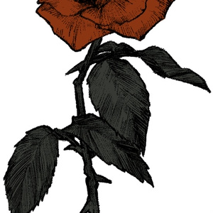 花素材2