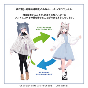 [ベータ版] and ST 枡花蒼/一色晴 もちふぃった～変換プロファイル（順方向/逆方向） 缩略图 2
