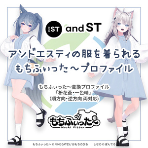 [ベータ版] and ST 枡花蒼/一色晴 もちふぃった～変換プロファイル（順方向/逆方向）