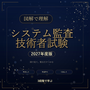 도해로 이해 시스템 감사 기술자 시험 2027년도판