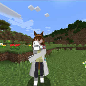 Minecraft model Agnes Tachyon, Touhou Little Maid Mod