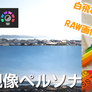 現像ペルソナ練習用素材