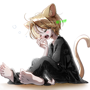 ねむねむにゃんこ素材