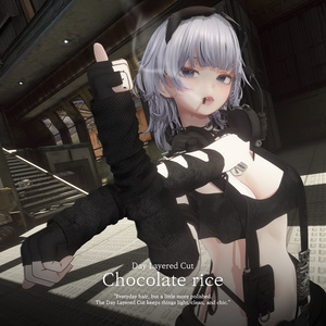 Rashguard Bikini for Shinano / ラッシュガードビキニ 【しなの