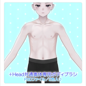 【PSD】+Head共通素体専用ボディブラシ