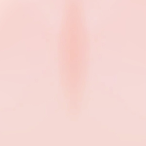 【R-18・PSD】Astel（アステル）専用ナチュラルメイク＆ボディブラシ【別売り有・組み合わせ自由】 缩略图 4