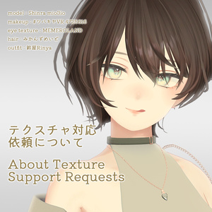 テクスチャ対応リクエストについて / About texture support requests