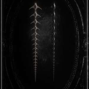 BoneTail