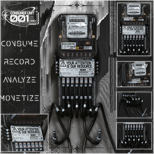 CONSUMER UNIT_001