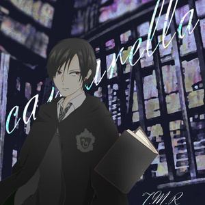3 クロコ ドフラミンゴが欠陥強姦もののエロ本を持ってた あいつがエロ本を持っていた 紫音の Pixiv