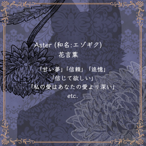 【VRChat想定アバター】Aster -アスター- 【オリジナル3Dモデル】 缩略图 2