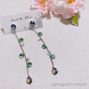 山口紀之イメージイヤーアクセサリー