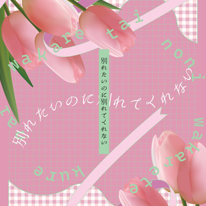 C105 セイバー 萌え萌えバスタオル2024 C105セイバー萌え萌えバス