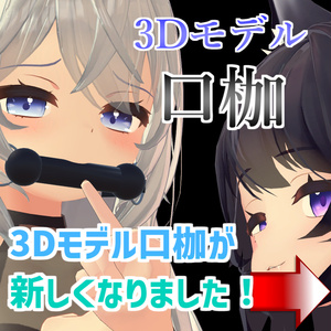 【3Dモデル】口枷×アイマスク　プレゼントOK！