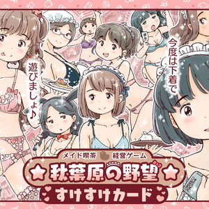 お得『☆秋葉原の野望☆』拡張＋すけすけ＋サイコロ＋Specialカードセット